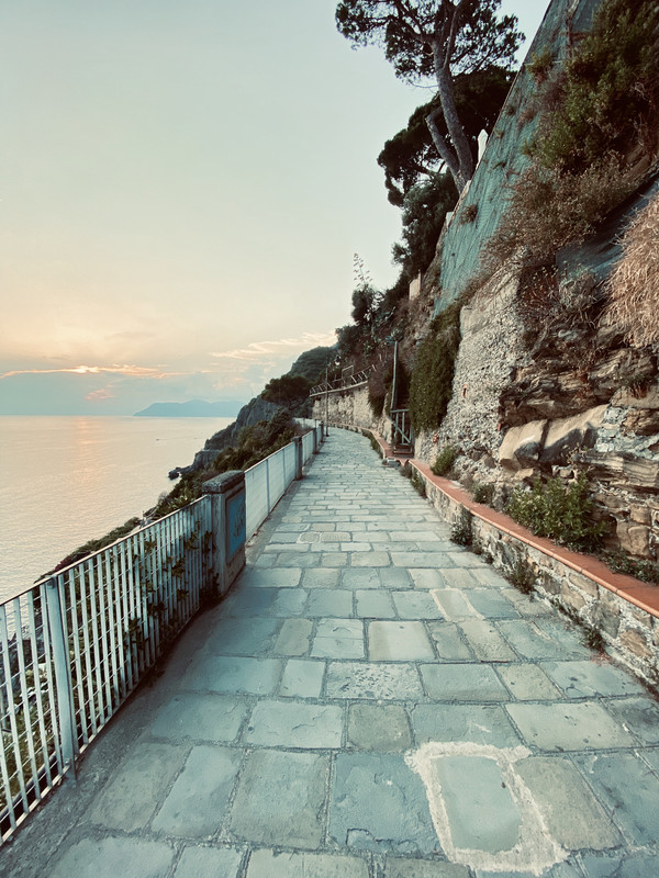 9E8DC5D5-4097-454D-B3BE-143B06CA40C3