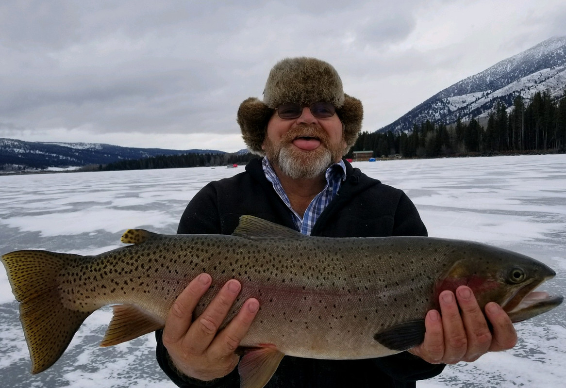 winning Fish