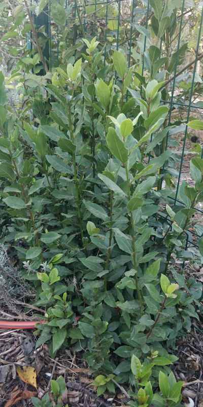 изображение_viber_2023-10-30_11-03-37-847