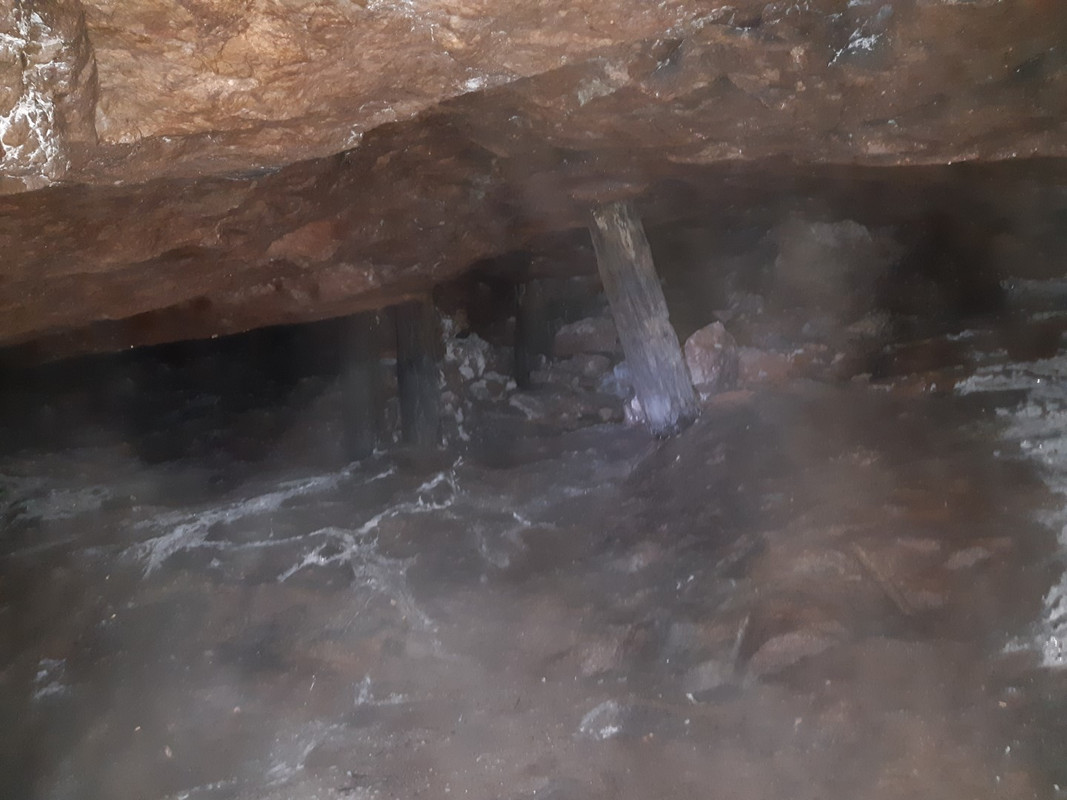 10.16 - 20200613_104746 (PiTT)