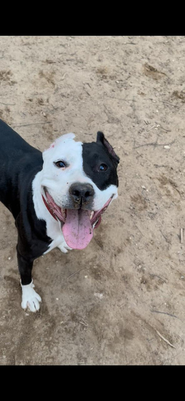 6473A4F5-ACBD-426D-9A30-F6DCC4DB37AC