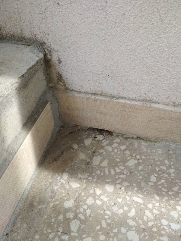 8B6D848E-5151-4684-9215-EABC089DE3F6