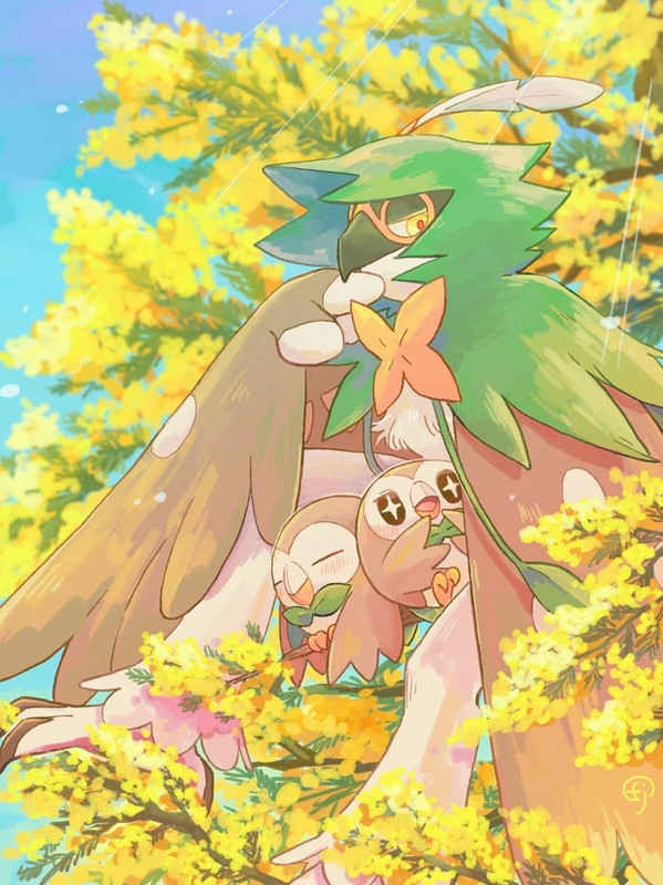 rowlet-and-decidueye-pokemon-drawn-by-ch