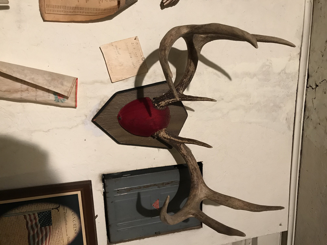 4826AB56-0798-44B8-9D32-C8D95539A8E7