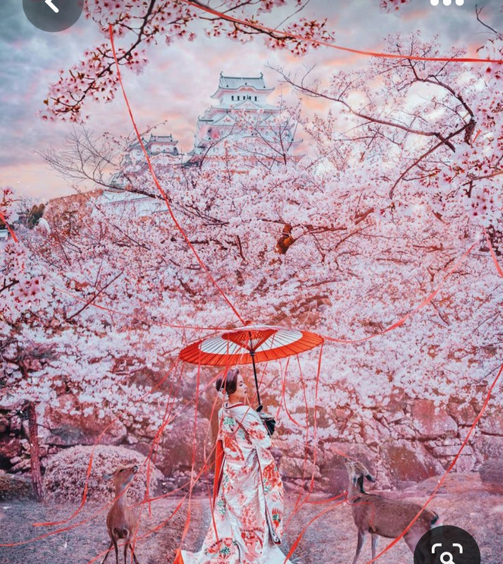 Screenshot_20230323_000514_Pinterest