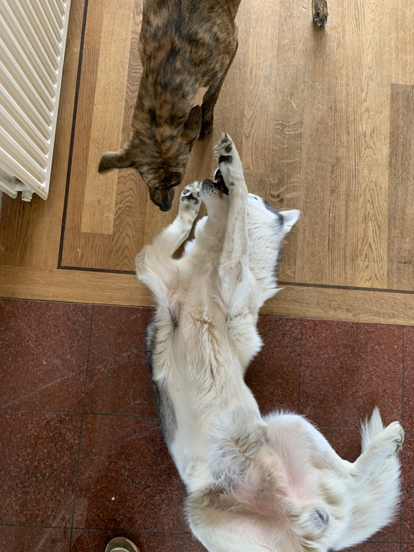 80F28CAB-9B46-4D65-8D6C-255953B63AD3