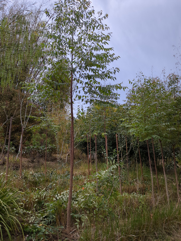 25fc7037-0588-475d-ba31-9d839bbae8b6.jpg