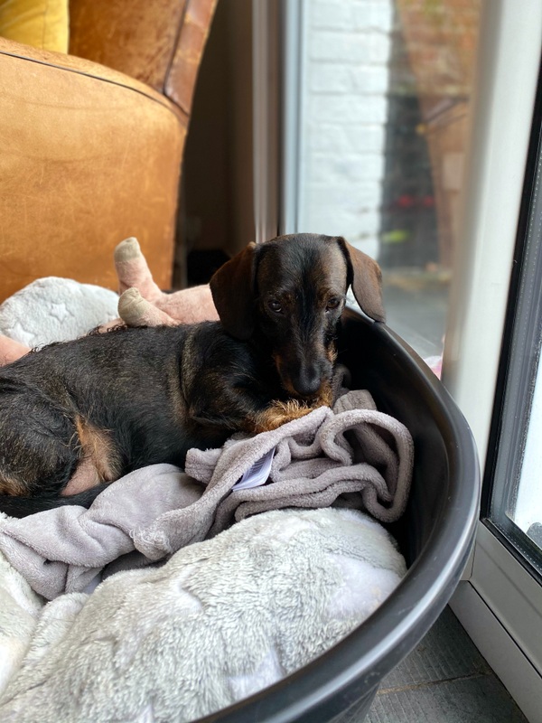 [Image: IMG-0411.jpg]