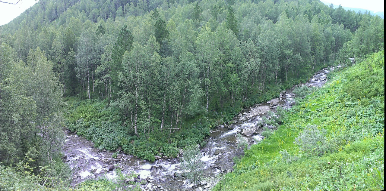 IMAG0488