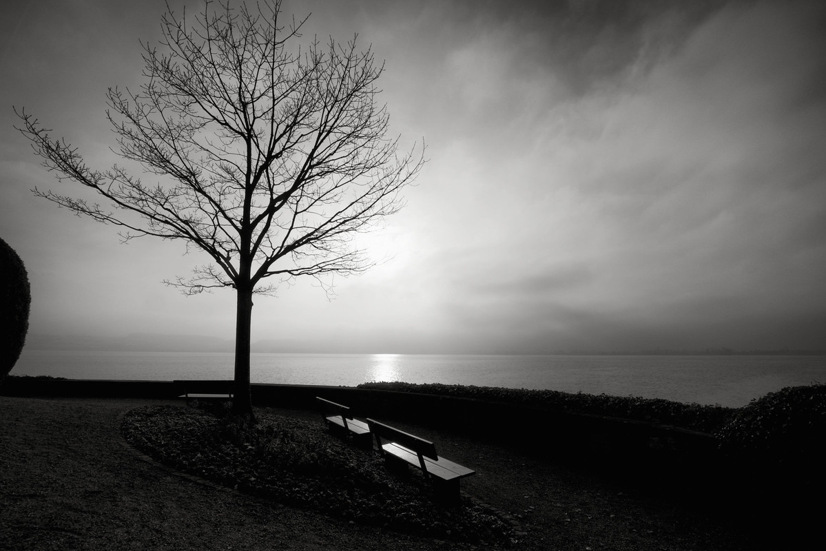 20323196318-f10b837cb0-k.jpg