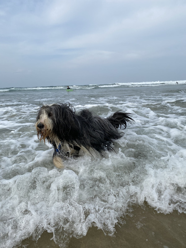 E5FFB04E-14E0-43B4-98AC-B4B70E0986D4