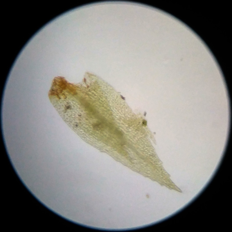 IMG 20250617 114053 HDR