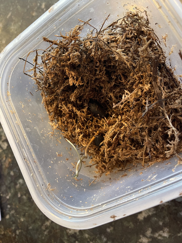 844F507E-5431-41D4-9BC4-99F9FA16152A