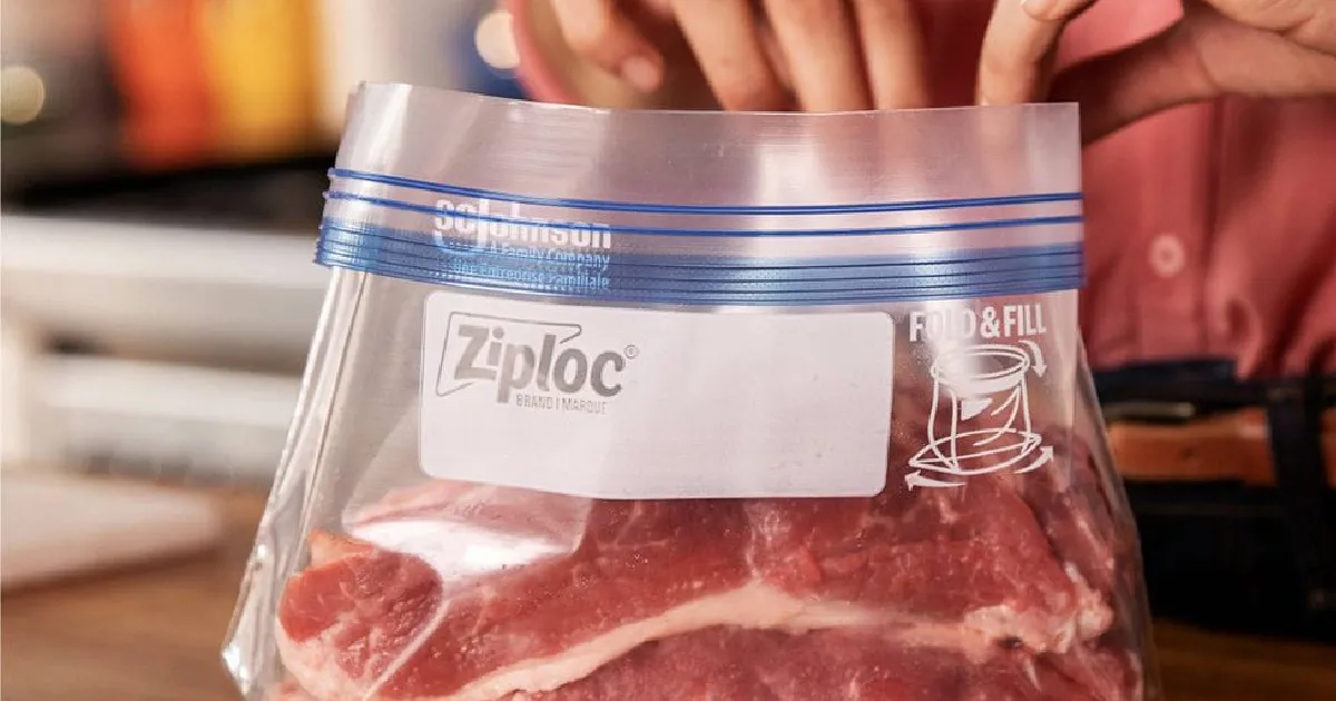 Ziploc 2-Gallon Freezer Bags: 30-Count Only .xx with Coupon Ziploc 2-Gallon Freezer Bags: 30-Count Only .xx with Coupon