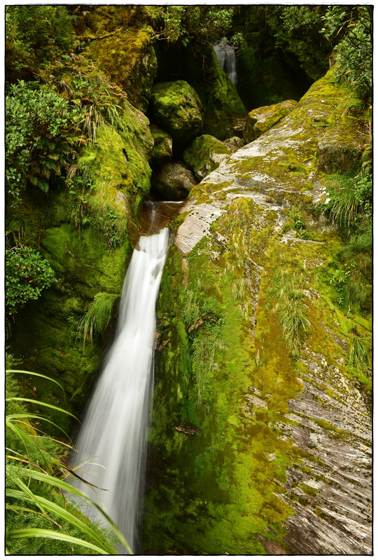 Fiordland NP: Milford Track (enero 2023) - Escapadas y rutas por la Nueva Zelanda menos conocida (49)