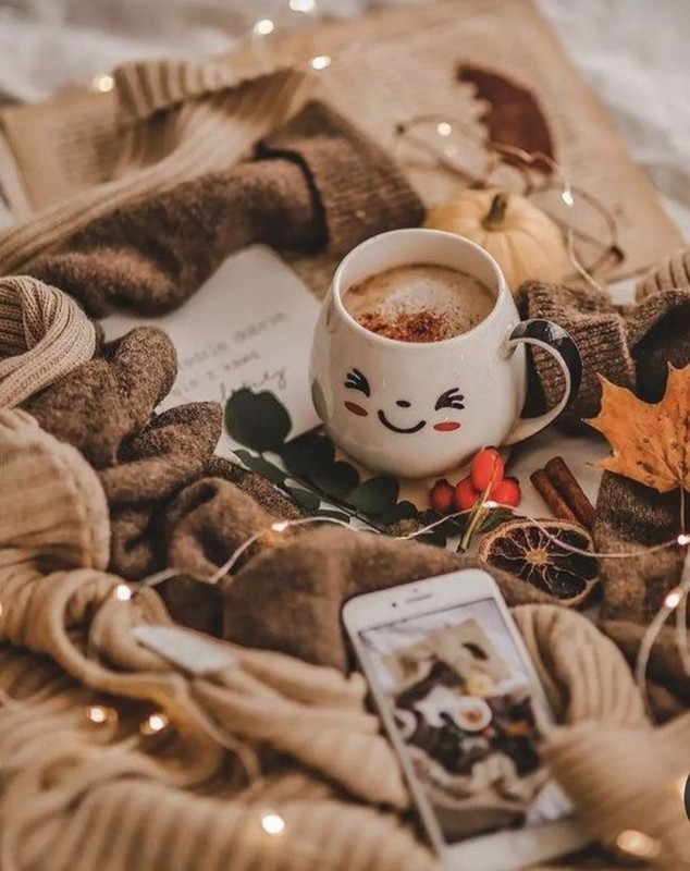 Screenshot_20230225_012130_Pinterest