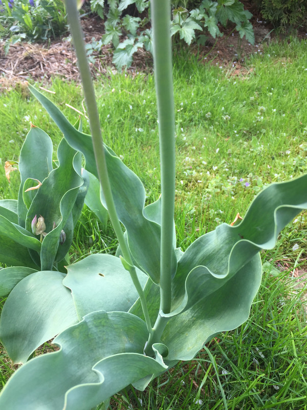 14A8CE63-58AA-4EEA-817D-8E2B5EAE48B0