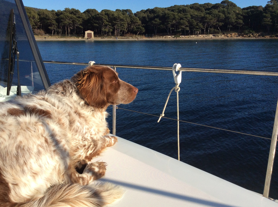 24237945-1BEC-48A0-A643-DDC89A881D9C