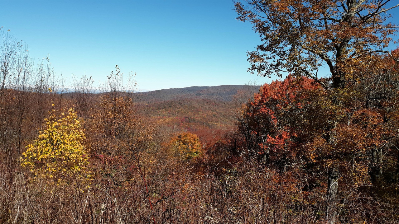 20191027_123748.ENH.1920P