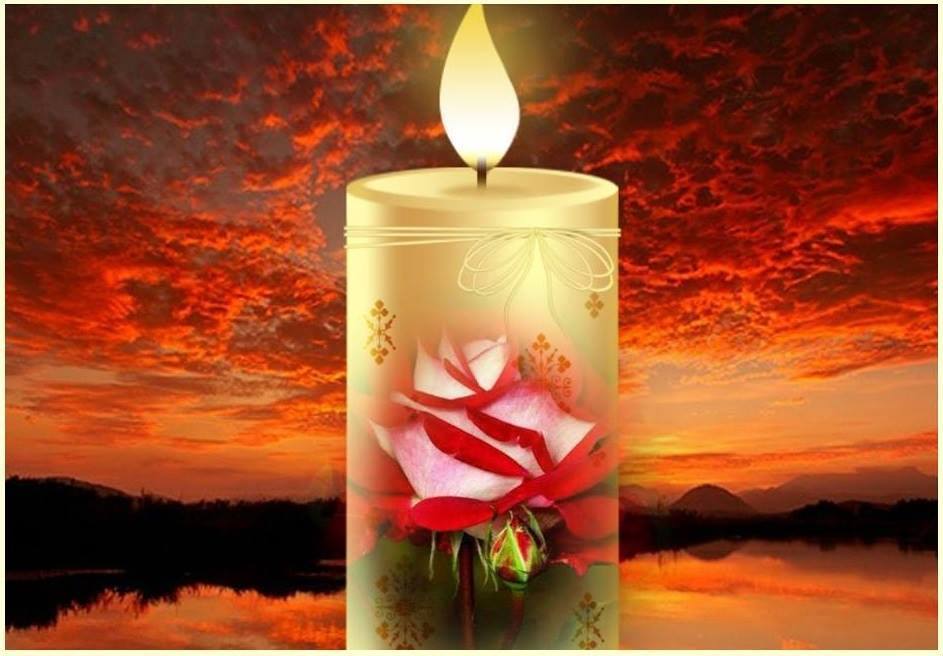 [Image: f50886ac.jpg]