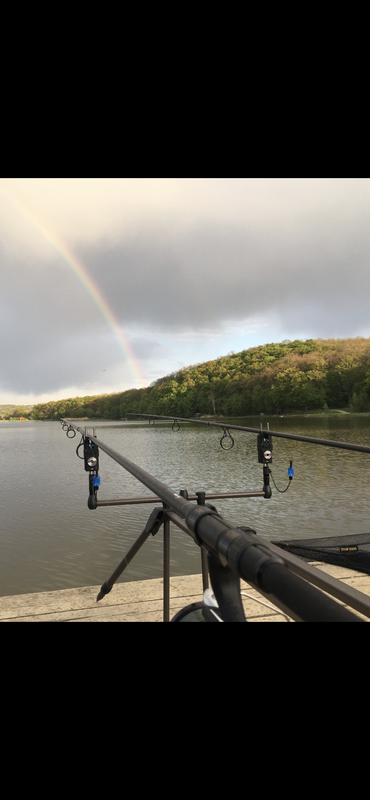 D159BA2F-05DF-4CDD-97F1-56500A8DA75C