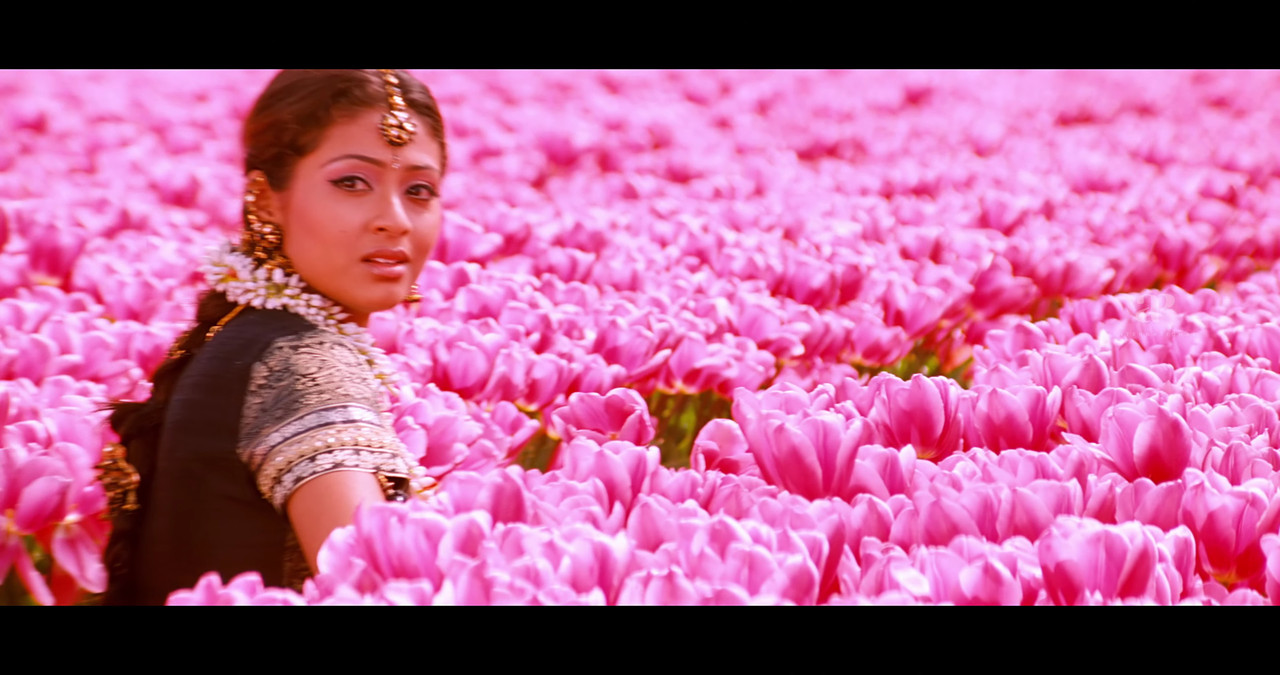 VideoCapture_20241122-200714