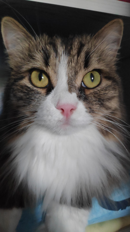 IMG_20220629_192547_1