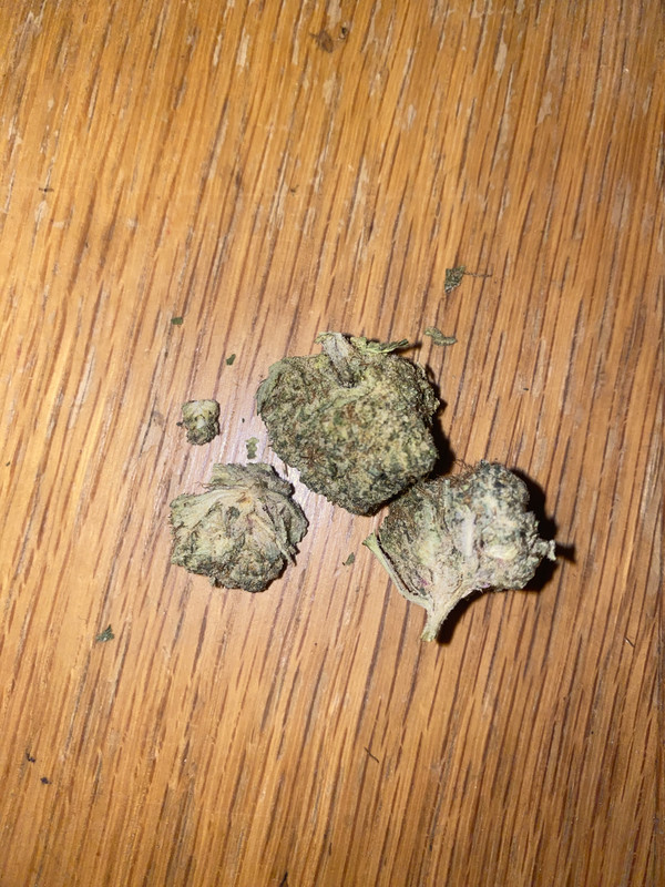 IMG 5818