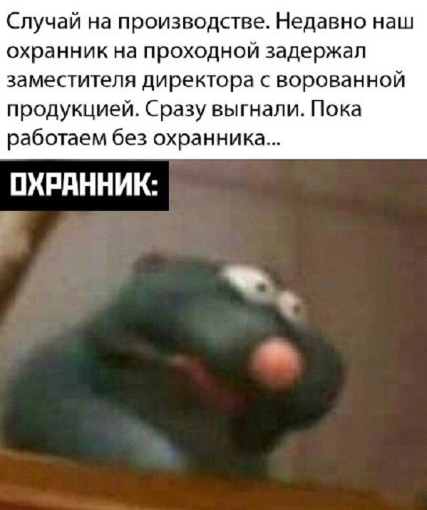 17175696.jpg