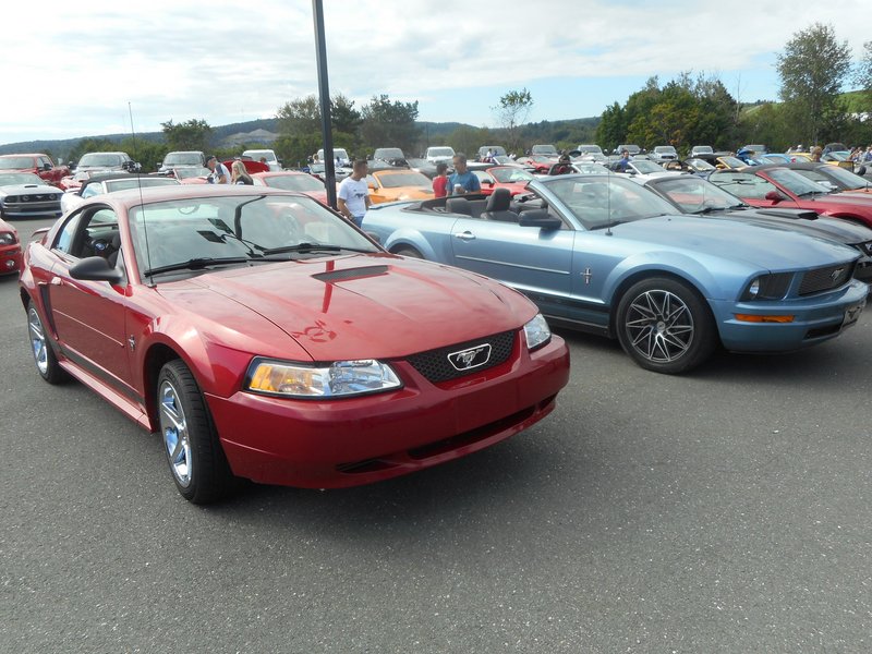 Rendez-Vous Mustang Cliche Auto Ford - 14 août 2022 Cliche2022-49