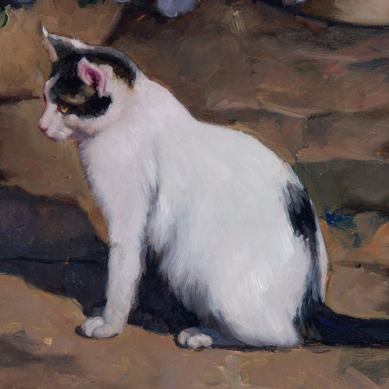 gallery-detail-cat
