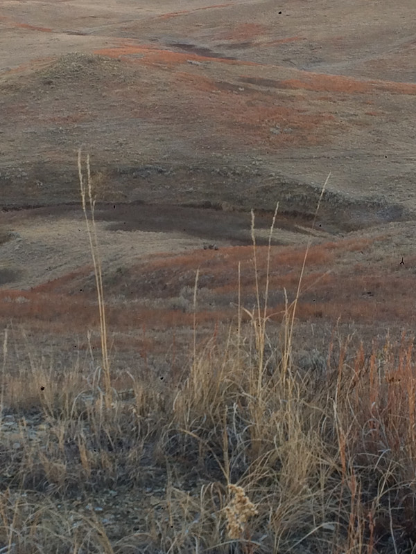 61D1A77E-3A07-41A2-A03A-DE5517B85473