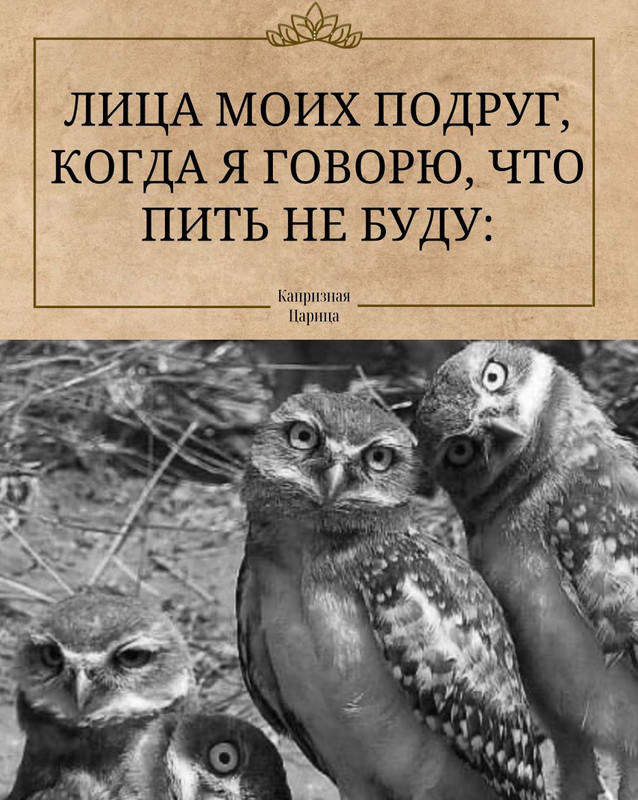 3119F9AB-4581-4CC2-A223-F9EA193E2D44