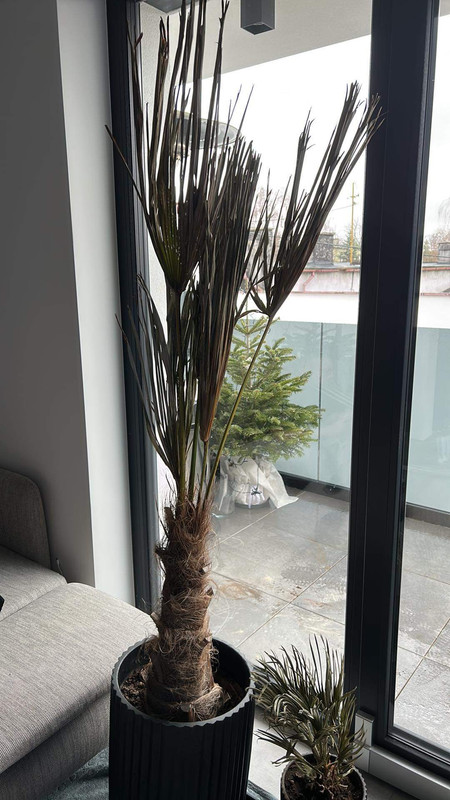 F5D54665-90C7-46D1-AE98-643CF2BFF178