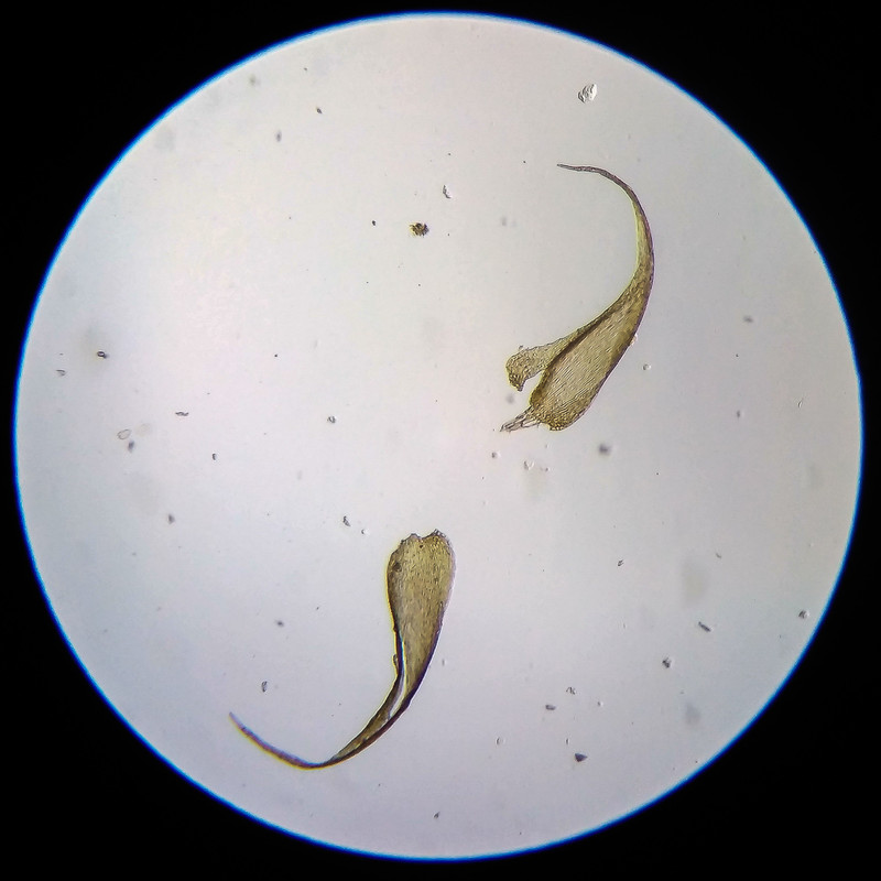 IMG 20250614 203436 HDR