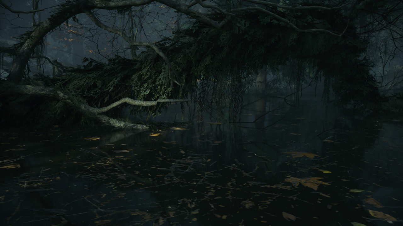 Alan Wake2 2026 06 06 16 06 59 587