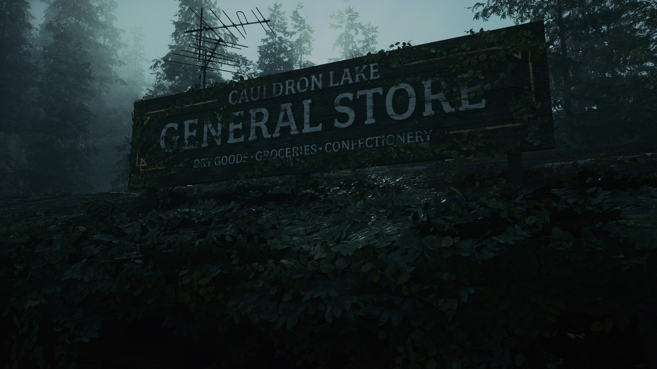Alan Wake2 2026 06 06 16 03 43 275
