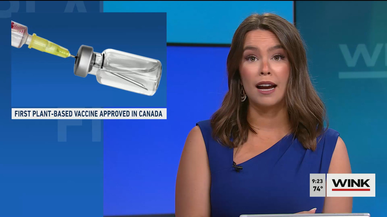 WINK News at 9 00 a.m. 2022_03_05_14_00_00.ts_snapshot_00.27.00.588