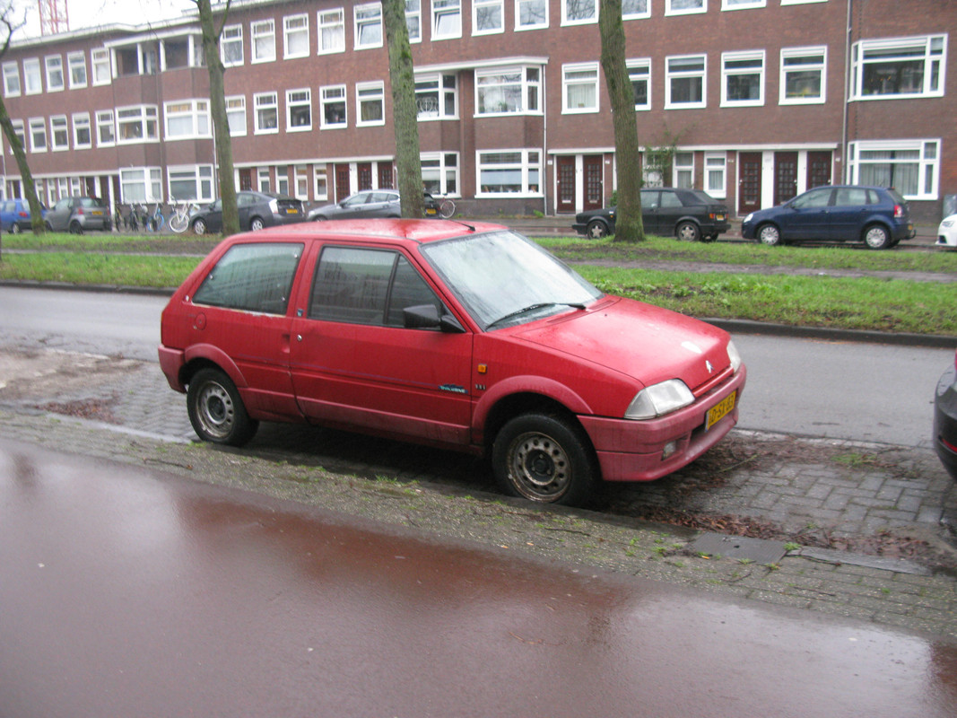 IMG-6646.jpg