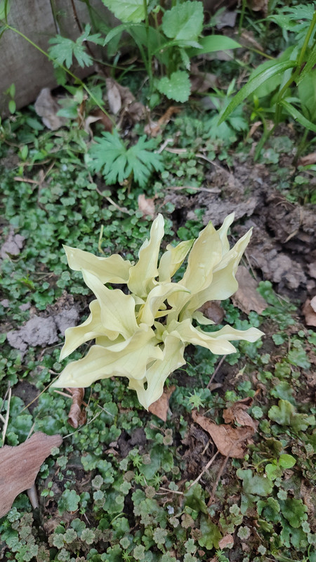 IMG_2023_06_20_11_34_15_2622498045769758374170