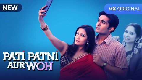 Pati Patni Aur Woh (2020) Hindi WEB-DL - 480P | 720P | 1080P - x264 - 8.4GB - Download & Watch Online  Movie Poster - mlsbd