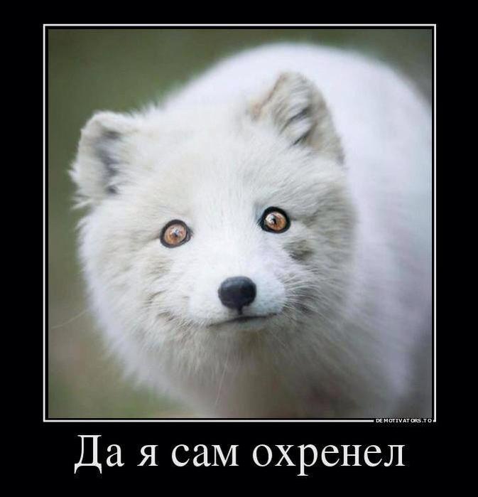 Мы будем менять министров, пока у нас не будет идеального правительства, - Зеленский - Цензор.НЕТ 6336