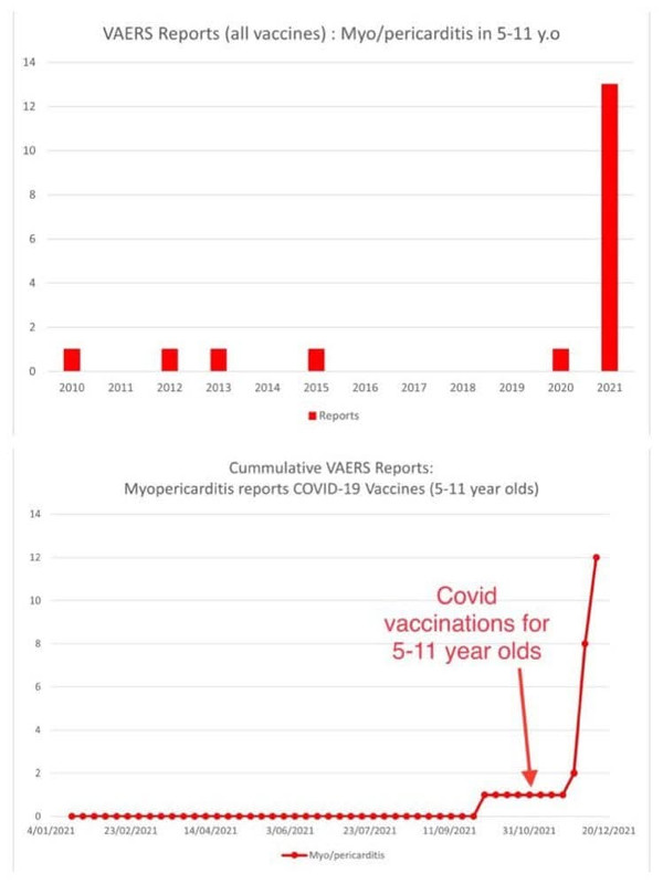 FB IMG 1775214261677