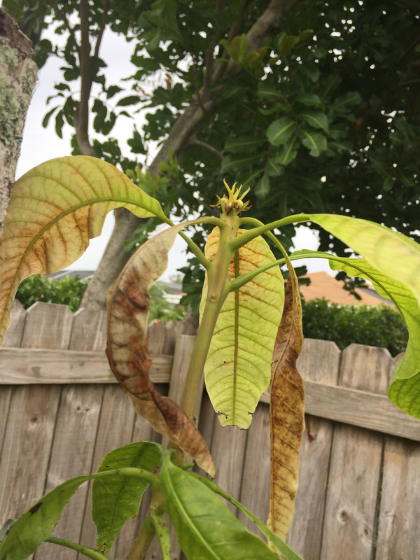 DAE798EE-C6D2-4876-92B8-7411A9FAB5B6