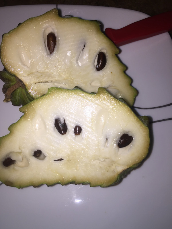 9CA1846E-D903-4ECB-8E22-D9651DC1B1D2