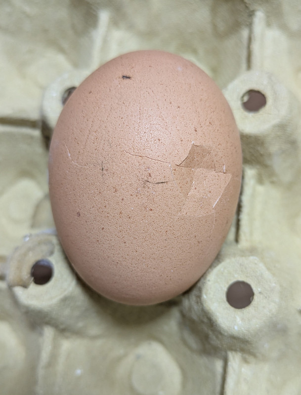 PXL 20260108 224504750 MP