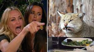 Без названия (1)