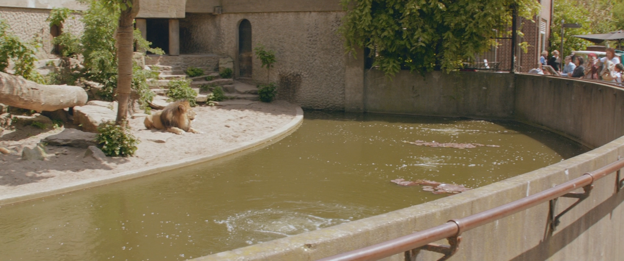 Prey - La preda (2016) [BluRay Rip 1080p ITA-ENG DTS-AC3 SUBS] [M@HD].mkv_snapshot_00.06.36.139