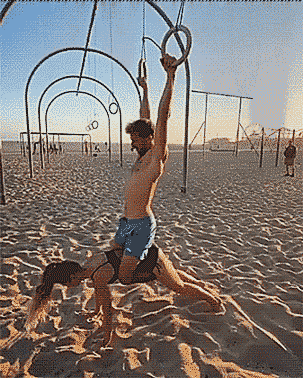 Z-1-3.gif