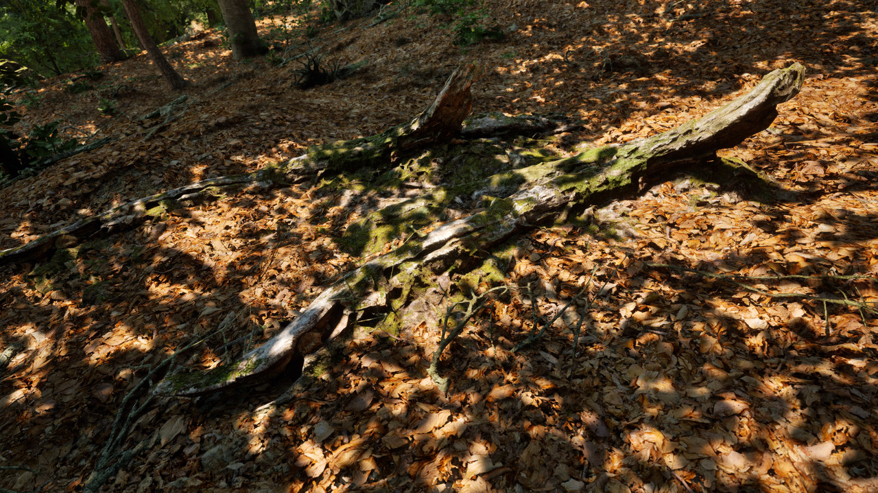 UnrealGame_2023_11_29_03_05_31_735